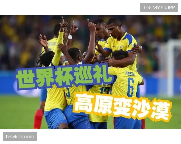 厄瓜多尔冲击2026世界杯：南美劲旅能否再掀黑马风暴
